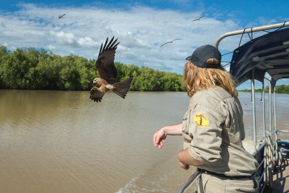 Darwin: Jumping Crocodile Cruise - Tour Details