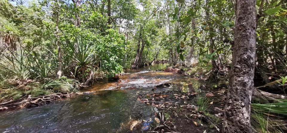 Darwin: Litchfield National Park and Berry Springs Day Tour