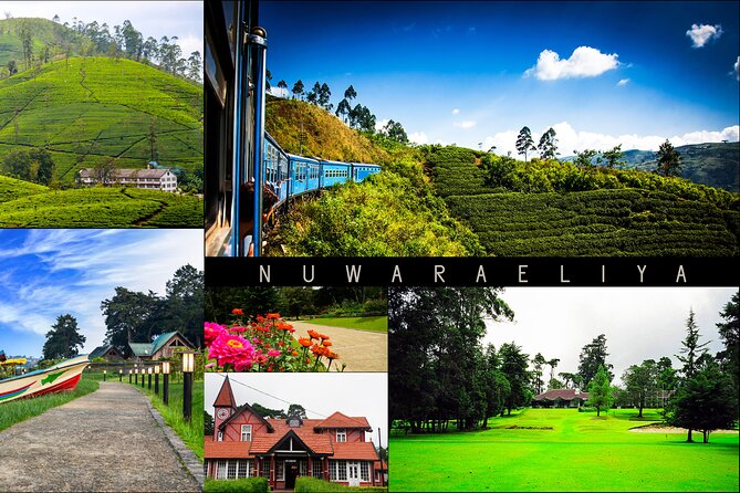 Day Tour to Nuware Eliya (Littel England) From Kandy - Overview of the Tour