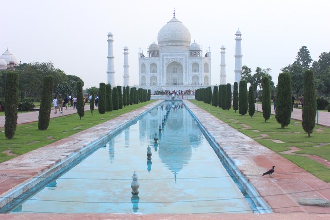 Day Trip to Taj Mahal From Delhi by Private Car