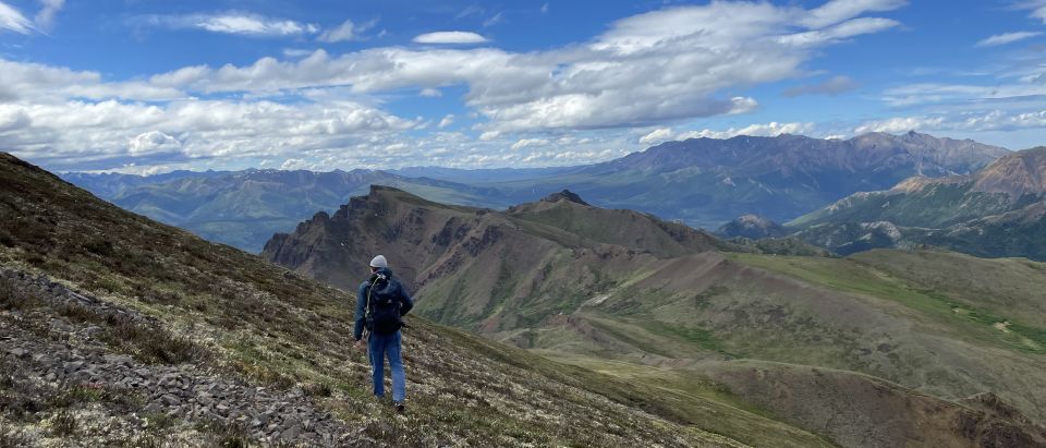 Denali: Denali National Park Walking Tour