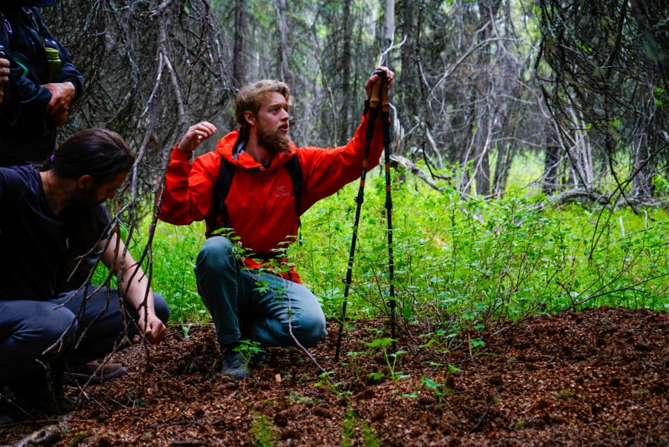 Denali: Naturalist Walking Tour in Denali National Park