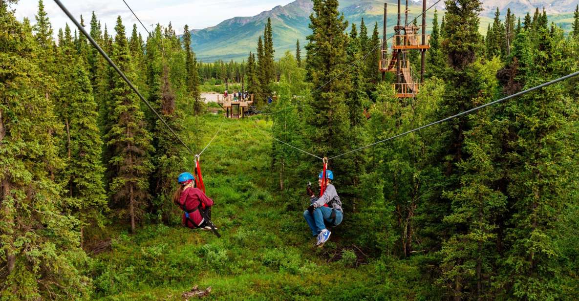 Denali Park Zipline Adventure