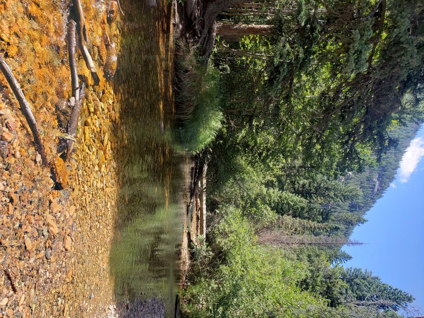 Denver: Rocky Mountain National Park Tour With Picnic Lunch