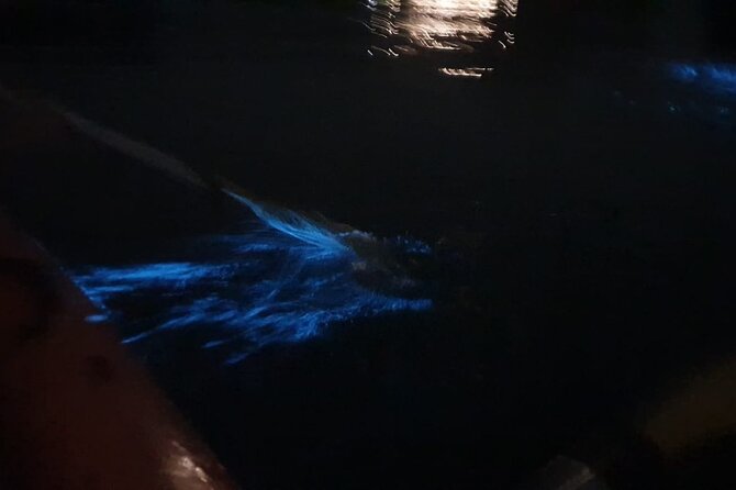 Discover Bioluminescent Plankton Using Kayak in Lan Ha Bay