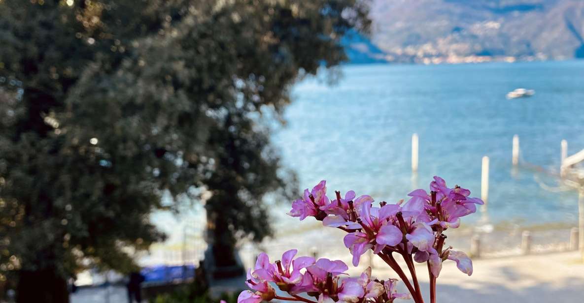 Discover Lake Como & Bellagio With a Local - Tour Details and Availability