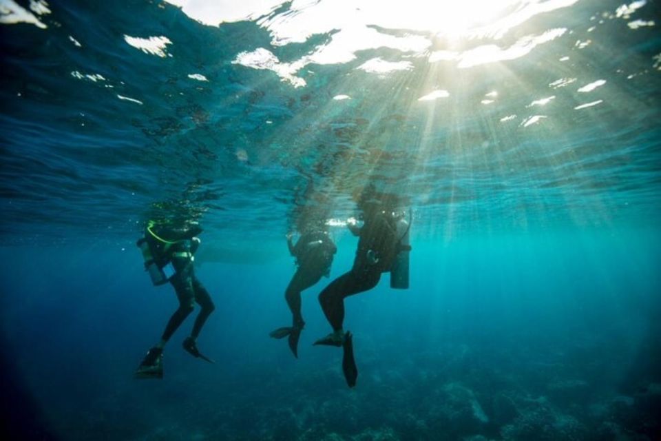 Discover Scuba Dive at Australias Most Iconic Beach