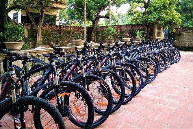 Discover Trang An Natural World Heritage, Bich Dong Pagoda, Cycling Day Tour