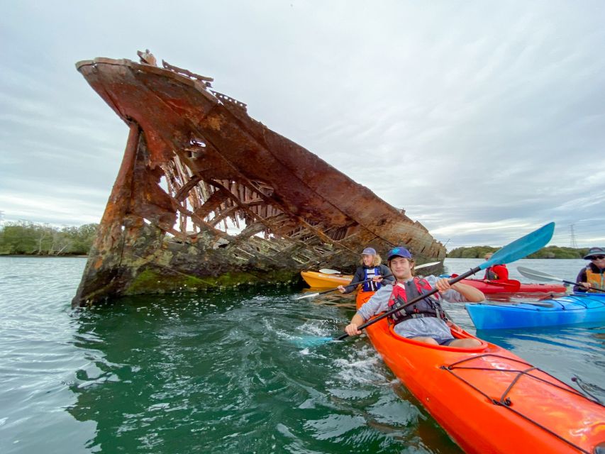 Dolphin Sanctuary and Ships Graveyard Kayak Tour