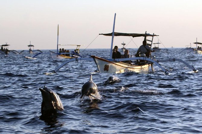 Dolphin Tour and Sunrise Watching in Lovina Beach - All Inclusive - Overview of the Tour