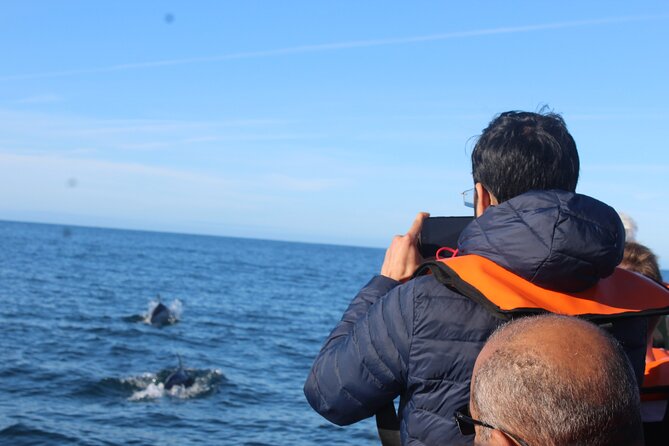 Dolphin Watching + 2 Islands Tour - From Faro - Tour Overview