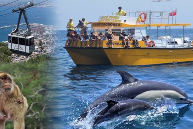 Dolphin Watching in Gibraltar & Fast Track Priority Cable Car - Overview of the Dolphin Watching Tour