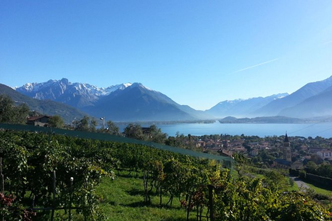 Domaso: Wine Tasting at the Winery on Lake Como