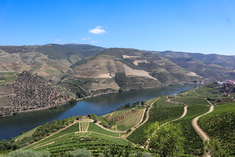 Douro Valley: Douro Valley Tour Including 3 Wineries - Pricing and Duration