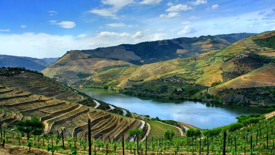 Douro Valley: Full-Day Private Tour From Porto