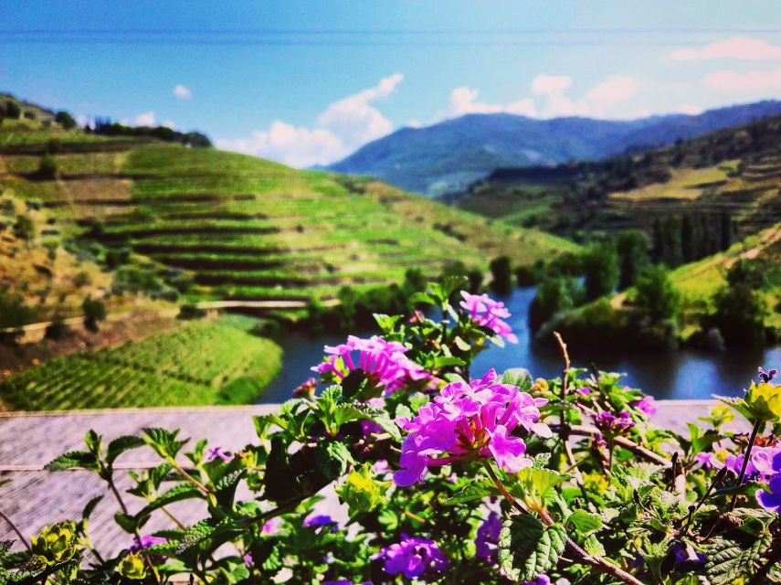 Douro Valley Full-Day Tour With Wine Tasting & Lunch