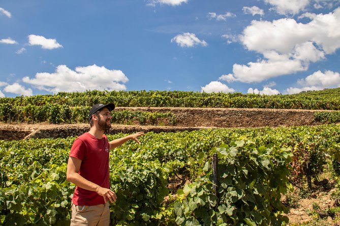 Douro Valley: Private Tour With Lunch and Wine Estate All Inclusive