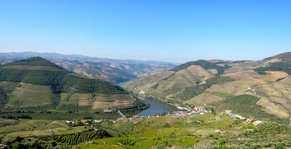 Douro Valley Semi-Private Tour With Two Wineries and Lunch