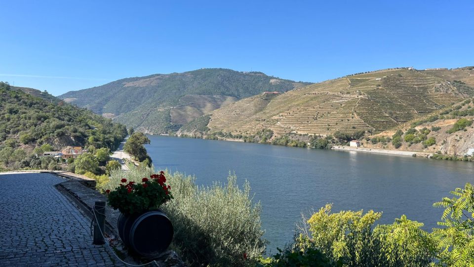 Douro Valley Tour