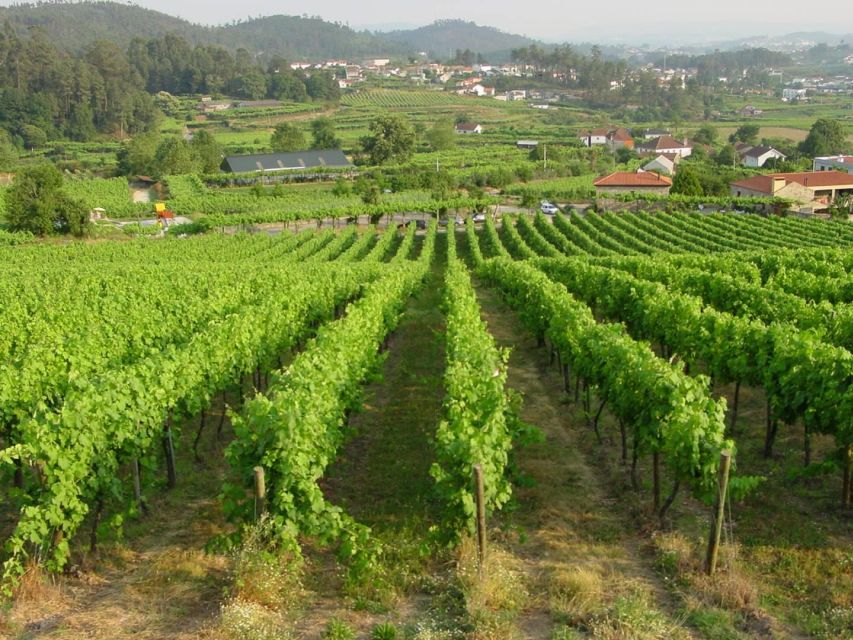 Douro & Vinho Verde Private Tour