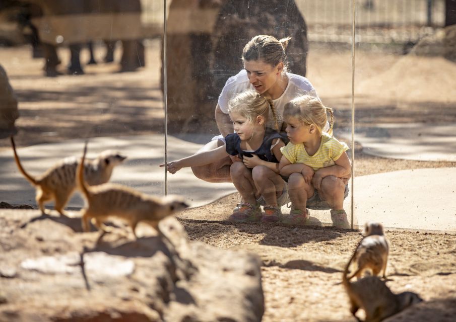 Dubbo: Taronga Western Plains Zoo 2-Day Entry Ticket | Travel Buddies