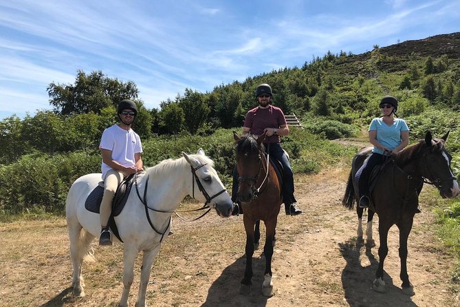 Dublin to Wicklow and Glendalough Guided Tours With Horse Riding
