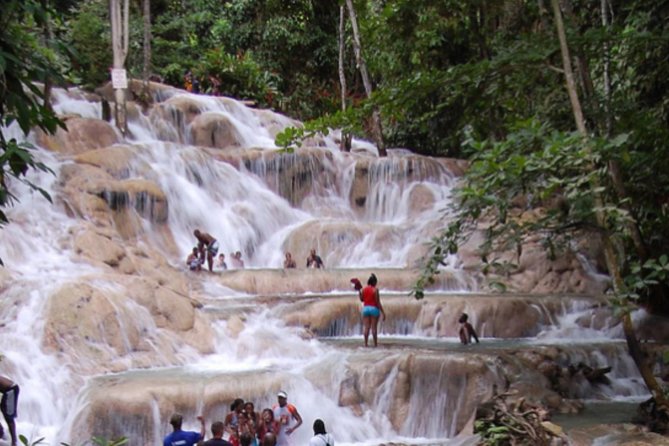 Dunns River Falls and Blue Hole Private Tour From Ocho Rios