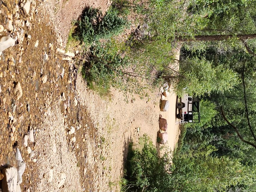 Durango: Waterfalls and Mountains La Plata Canyon Jeep Tour