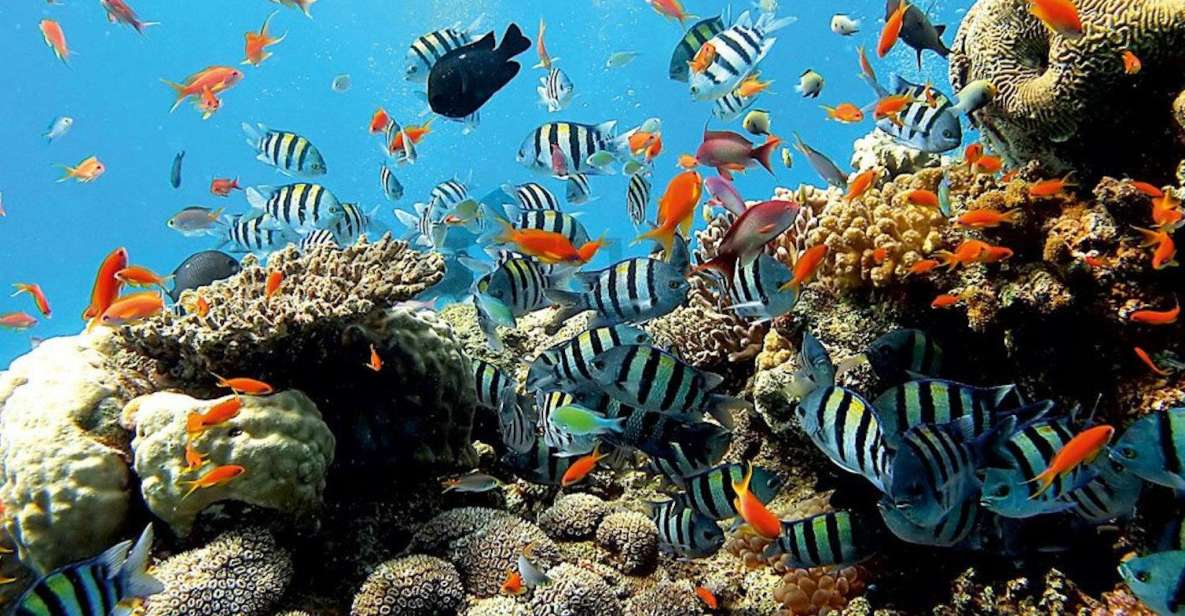 East Bali: Snorkeling, Canyoning, and Waterfall Day Trip