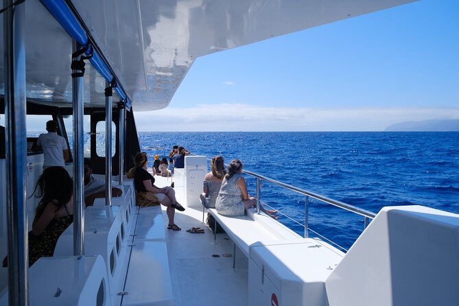 Eco-Friendly Catamaran Dolphin and Whale Watching