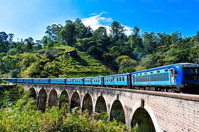 Ella Day Trip With Train Ride & Tea Factory – All Inclusive