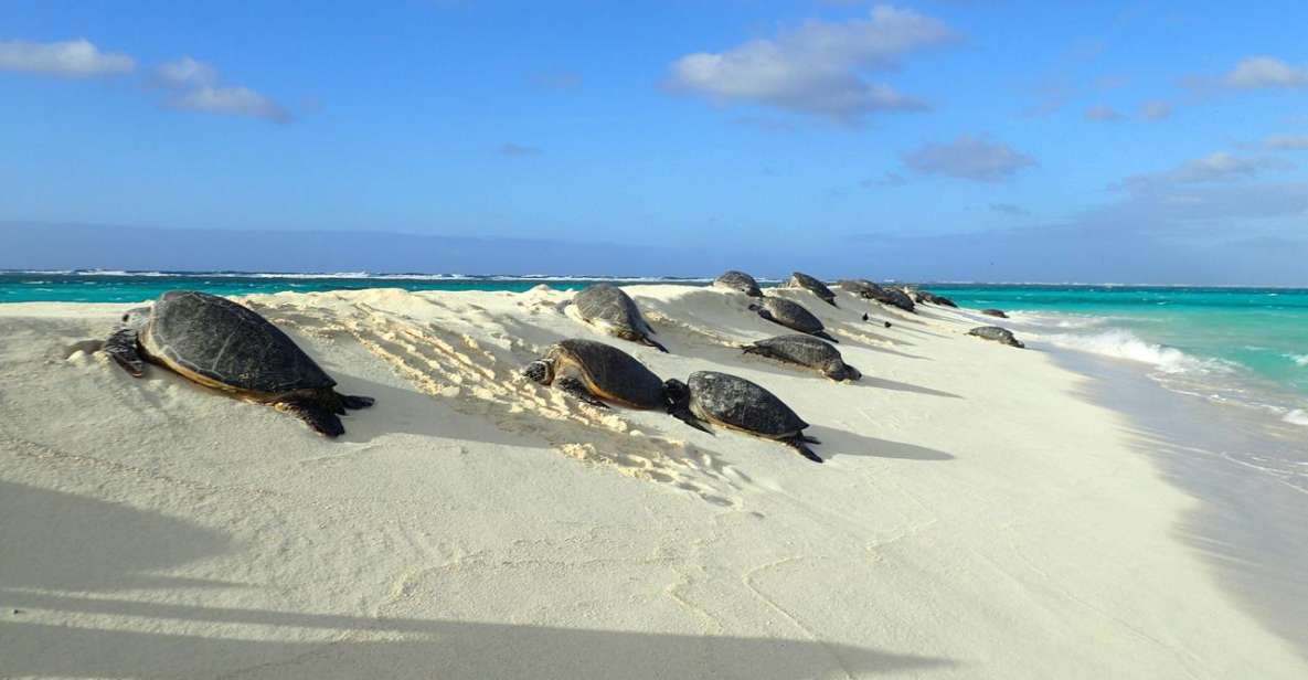 Enchanting Small Group Circle Island Tour of Oahu Paradise - Tour Details