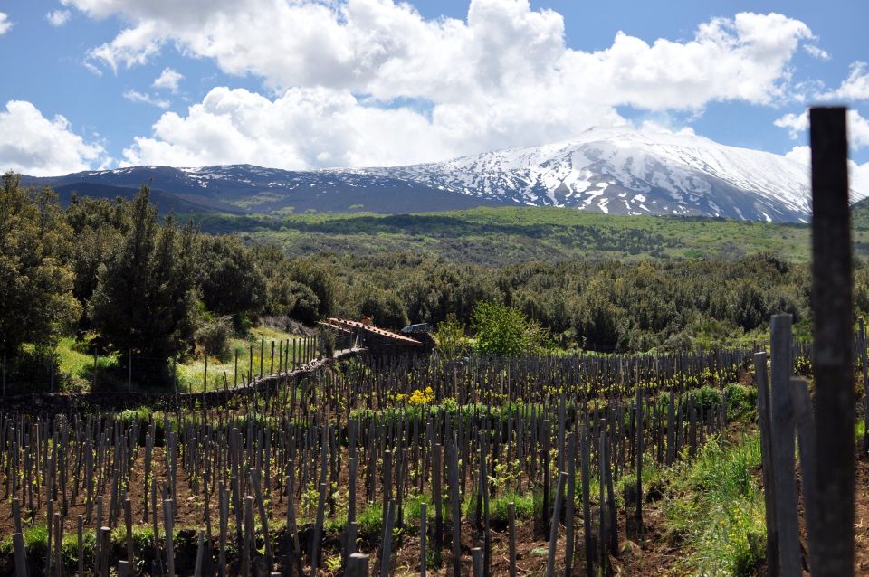 Etna Quad & Wine Combo Private Tour