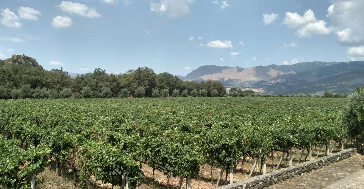 Etna: Wine Tasting and Food Tour