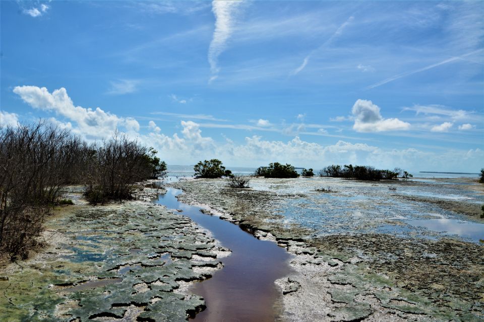 Everglades & Big Cypress Self Guided Driving Tour Bundle