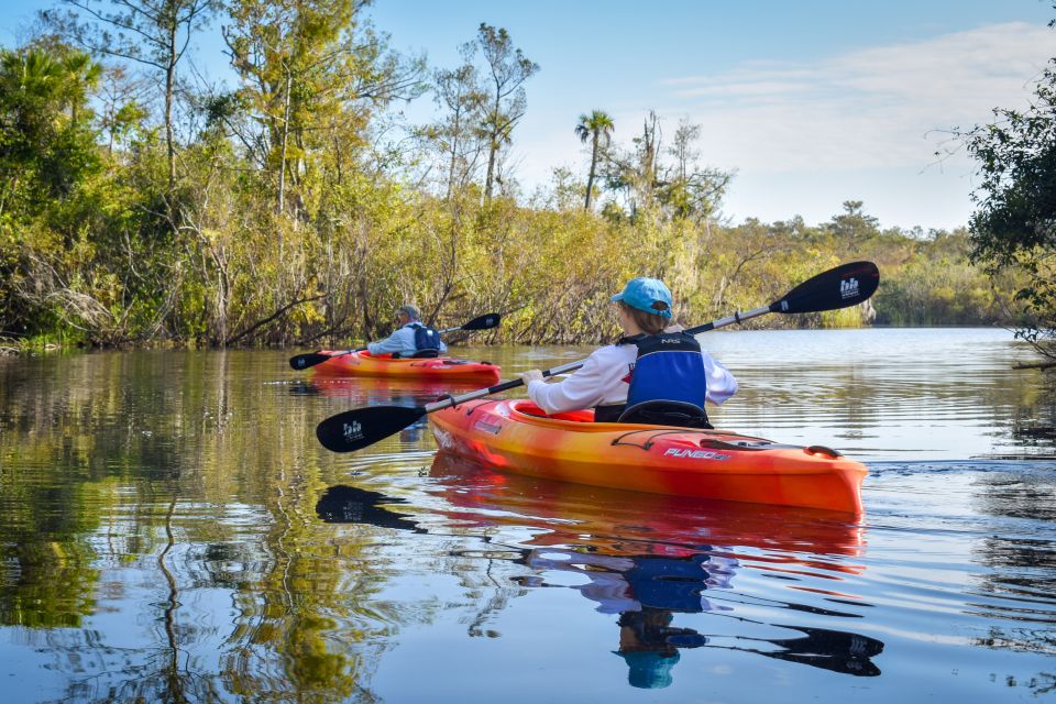 Everglades City: Guided Kayaking Tour of the Wetlands - Activity Details