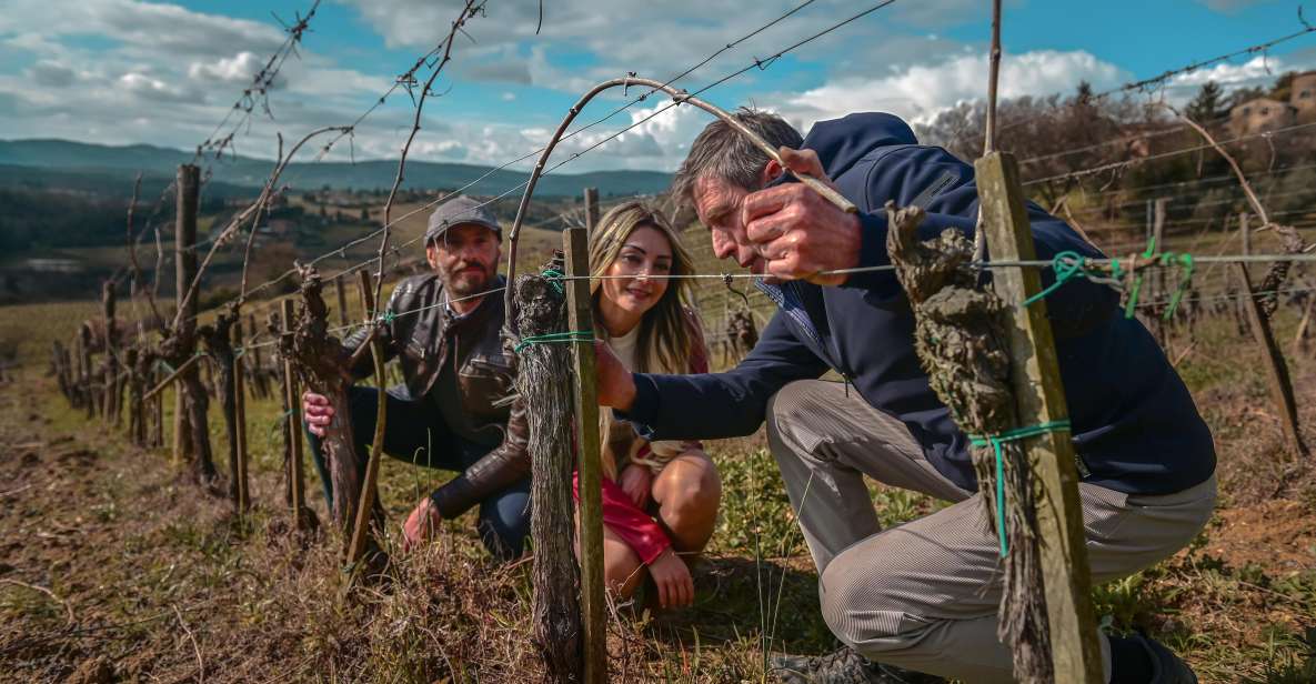 Exclusive Winery Tour and Wine Tasting in Siena