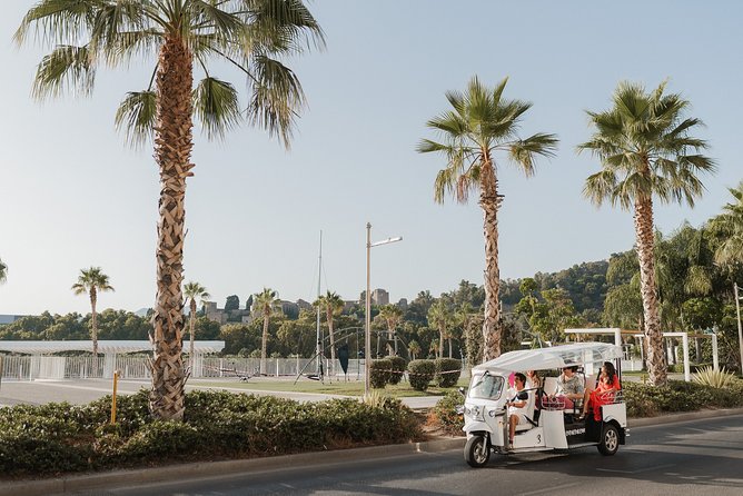 Expert Tour of Malaga in Private Eco Tuk Tuk