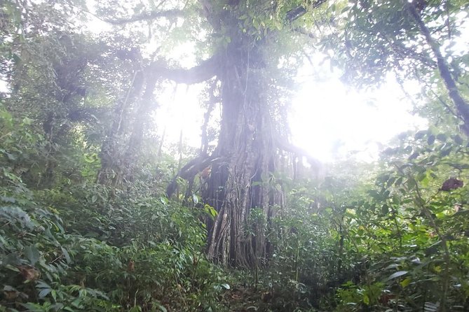 Explore Twin Lake Jungle Trekking and Canoeing - Additional Costs