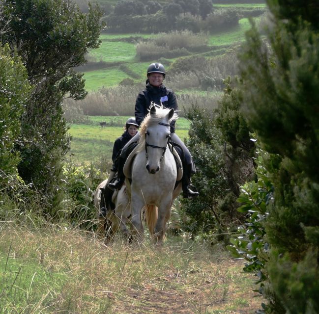 Faial Island: Horseback Riding on Lusitano Trail