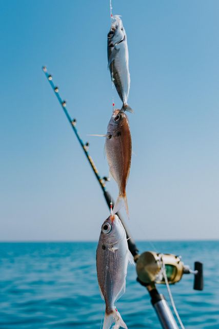 Family Fishing Fun With Nautica Massetti