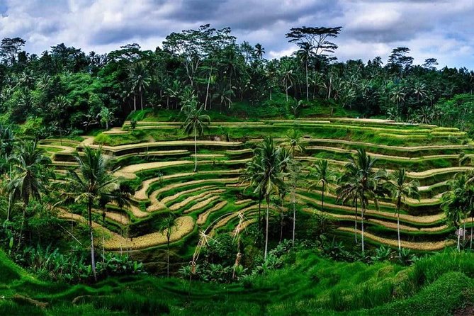 Fantastic Ubud Tour With Jungle Swing