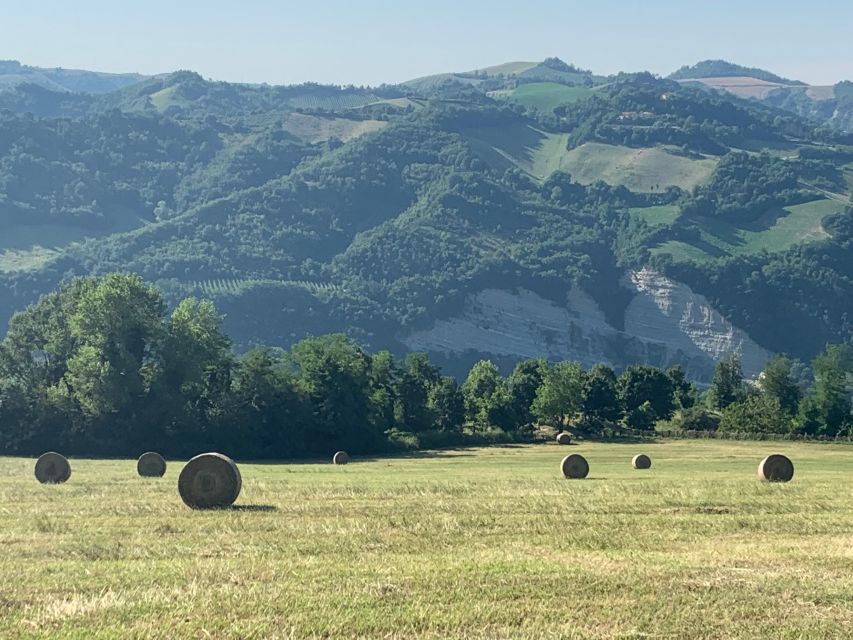 Farm Stay Experience & Dozza – Private Day Tour From Bologna