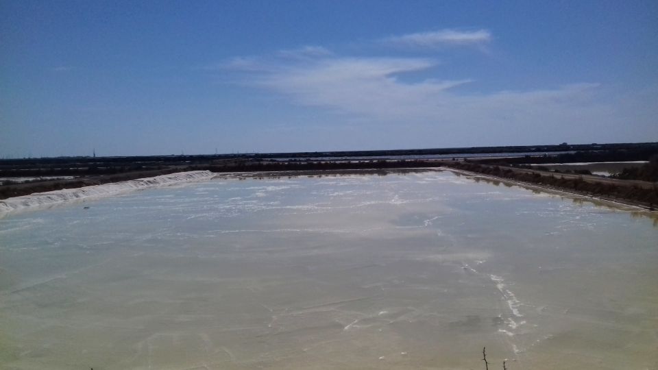 Faro Bike Tour Through the Beautiful Ria Formosa