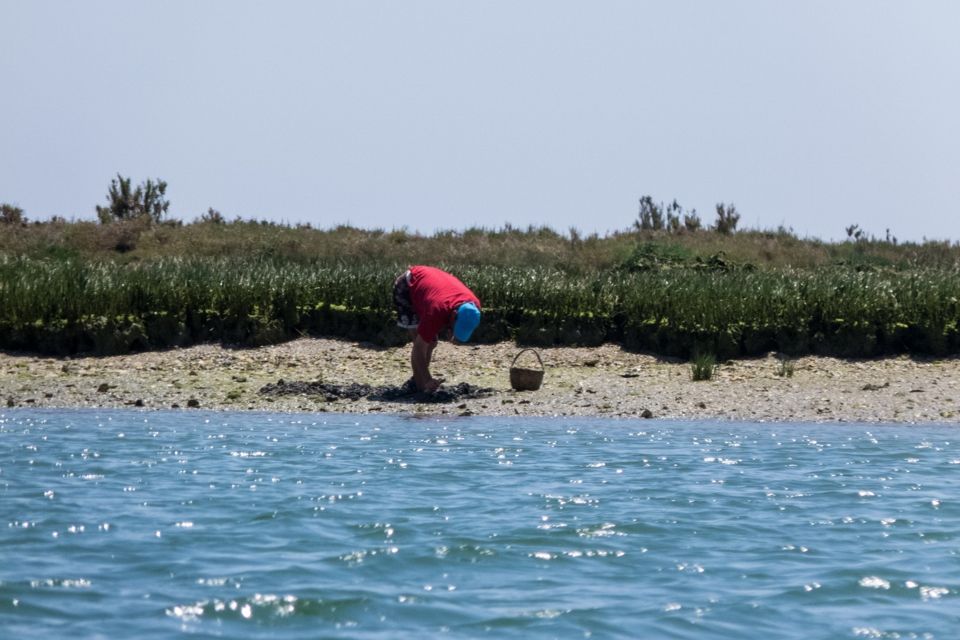 Faro: Kayak Hire in Ria Formosa Natural Park