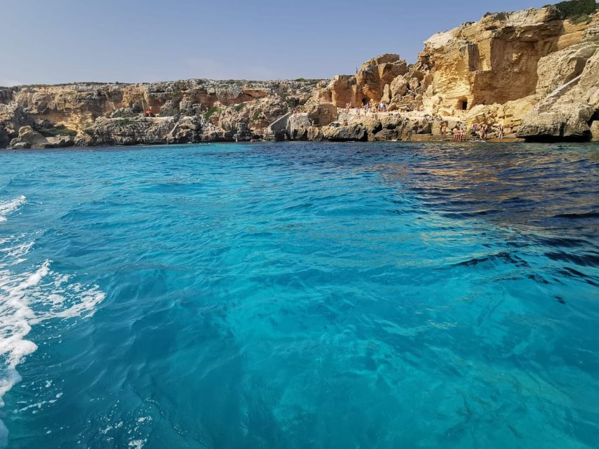 Favignana and Levanzo: Island Tour by Rib Boat From Trapani