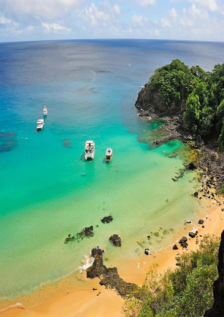 Fernando De Noronha: 7-Hour Island Adventure