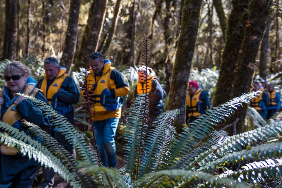 Fiordland: Jet Boat & Nature Walk Experience From Te Anau