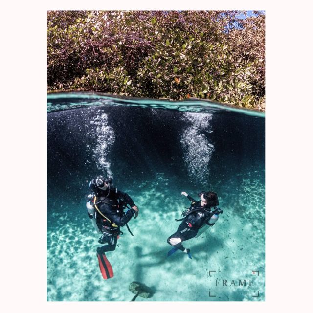 First Scuba Diving Experience in a Cenote