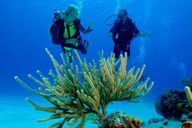 First Time Scuba Diving Experience in Punta Cana